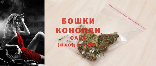 соль ск Кукмор