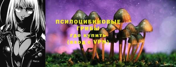 a pvp Кулебаки
