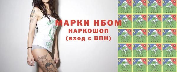 соль ск Кукмор