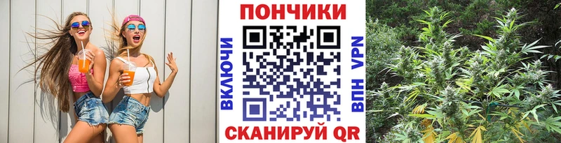 Конопля гибрид Новокузнецк